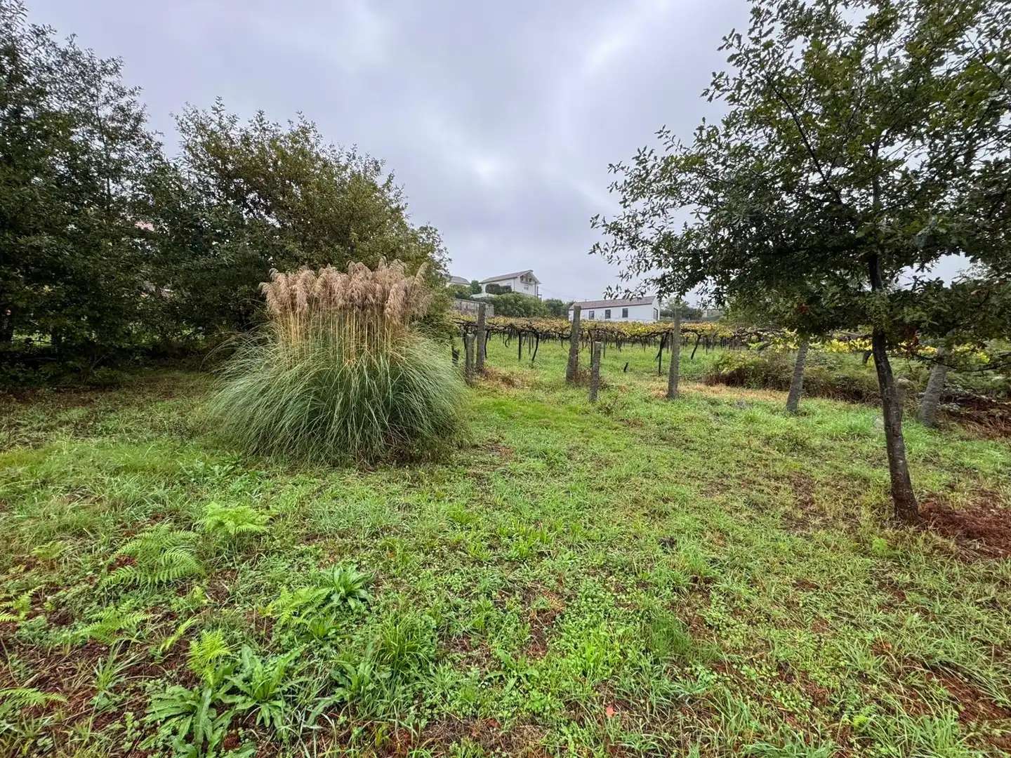 Lands and plots for sale in Soutomaior, imagen 5