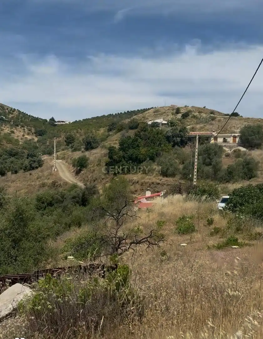 Land for sale in Sedella