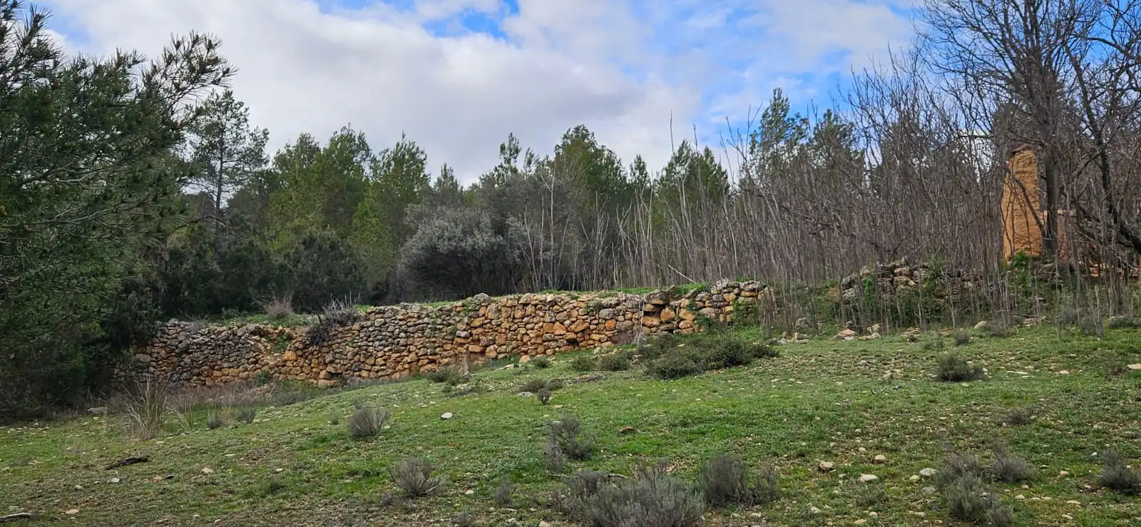 Terreno en venta en Las Parras de Castellote