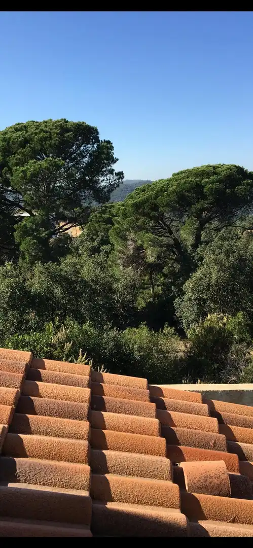 Casa o xalet en venda a Bellmunt, Lloret Verd - Els Pinars