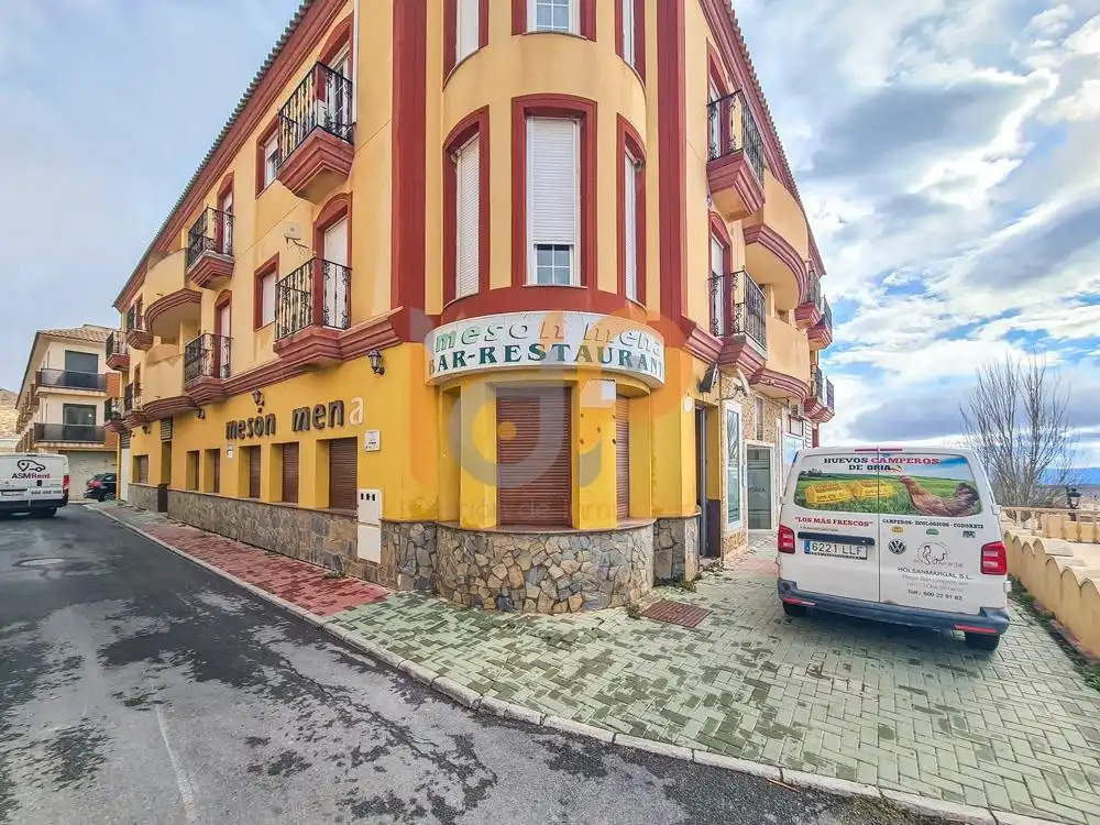 Business premises for sale in Oria
