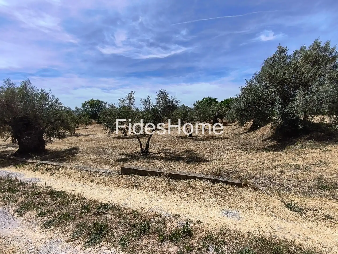 Rural land for sale in XFJ3+526 Nigüelas 0, imagen 15