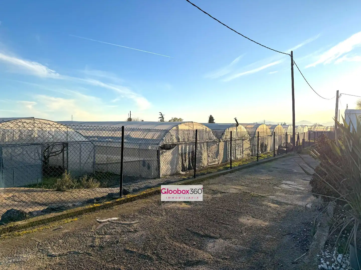 Terrenys i solars en venda a Camino Riudoms 43, imagen 96