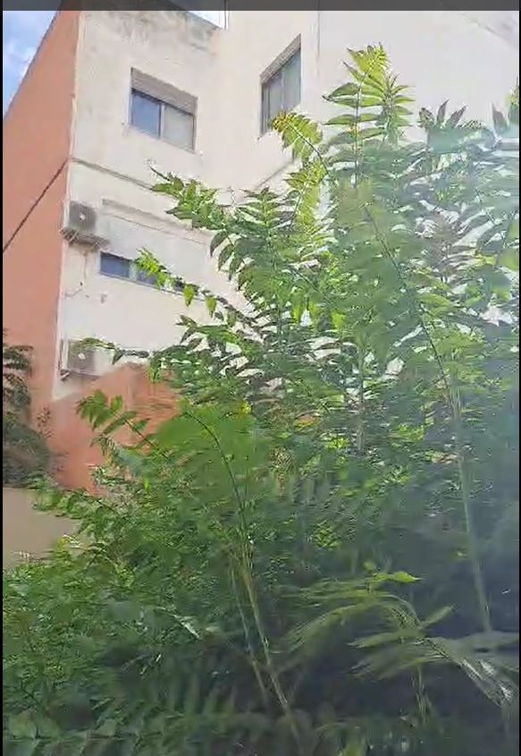 Piso en venta en  Valencia Capital con Terraza
