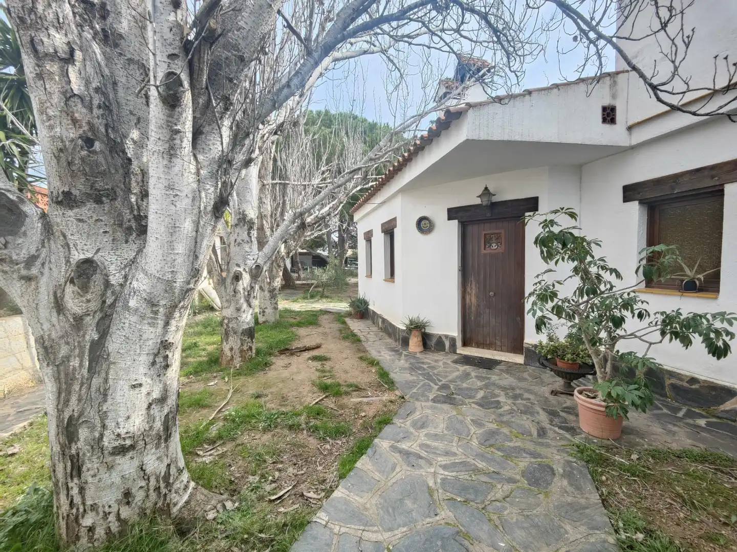 Vista exterior de Casa o chalet en venta en Roda de Berà con Jardín privado, Terraza y Trastero