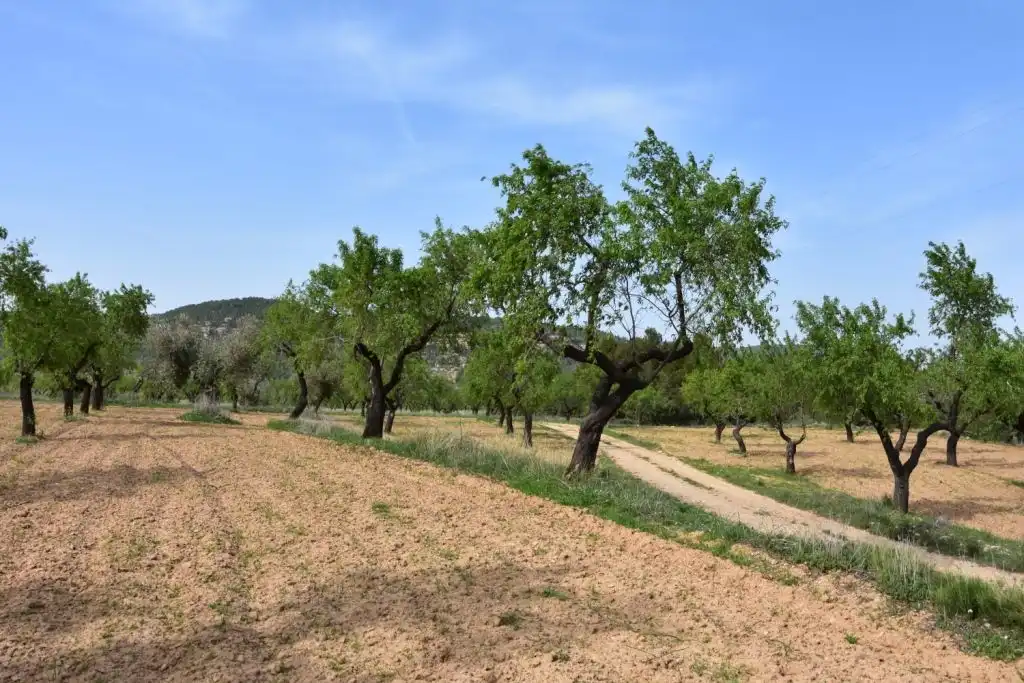 Country homes for sale in Ráfales