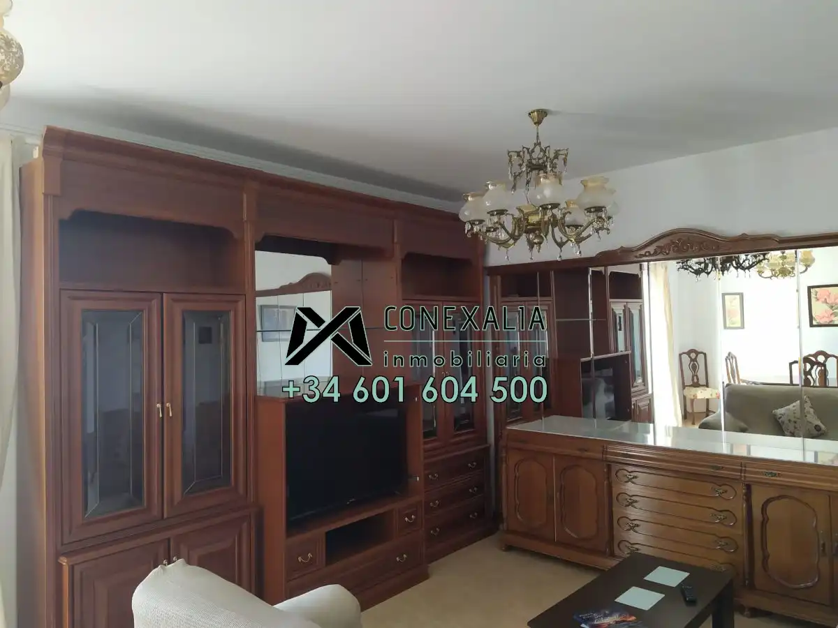 Appartamento con terrazza in vendita a Olvera, imagen 3