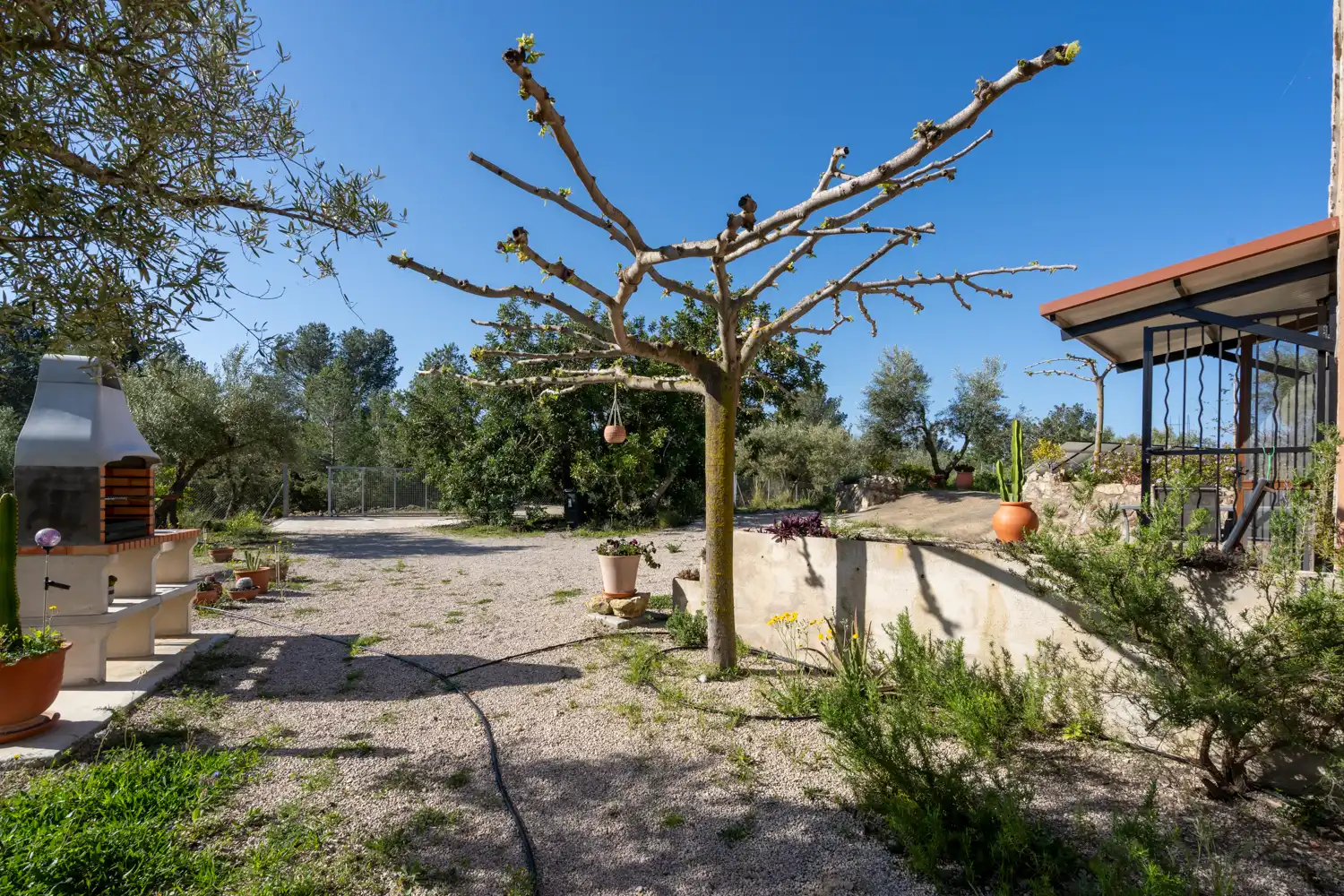 Jardí de Casa o xalet en venda en Tortosa amb Jardí privat, Moblat i Rentadora