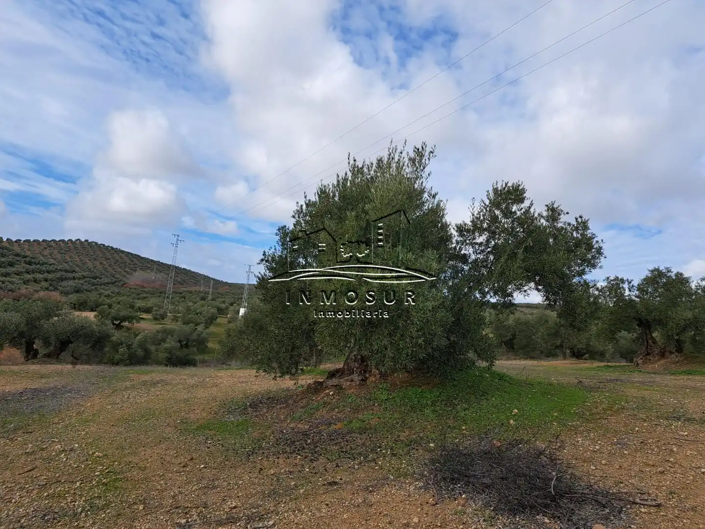Terrenys i solars en venda a Benamejí, imagen 14