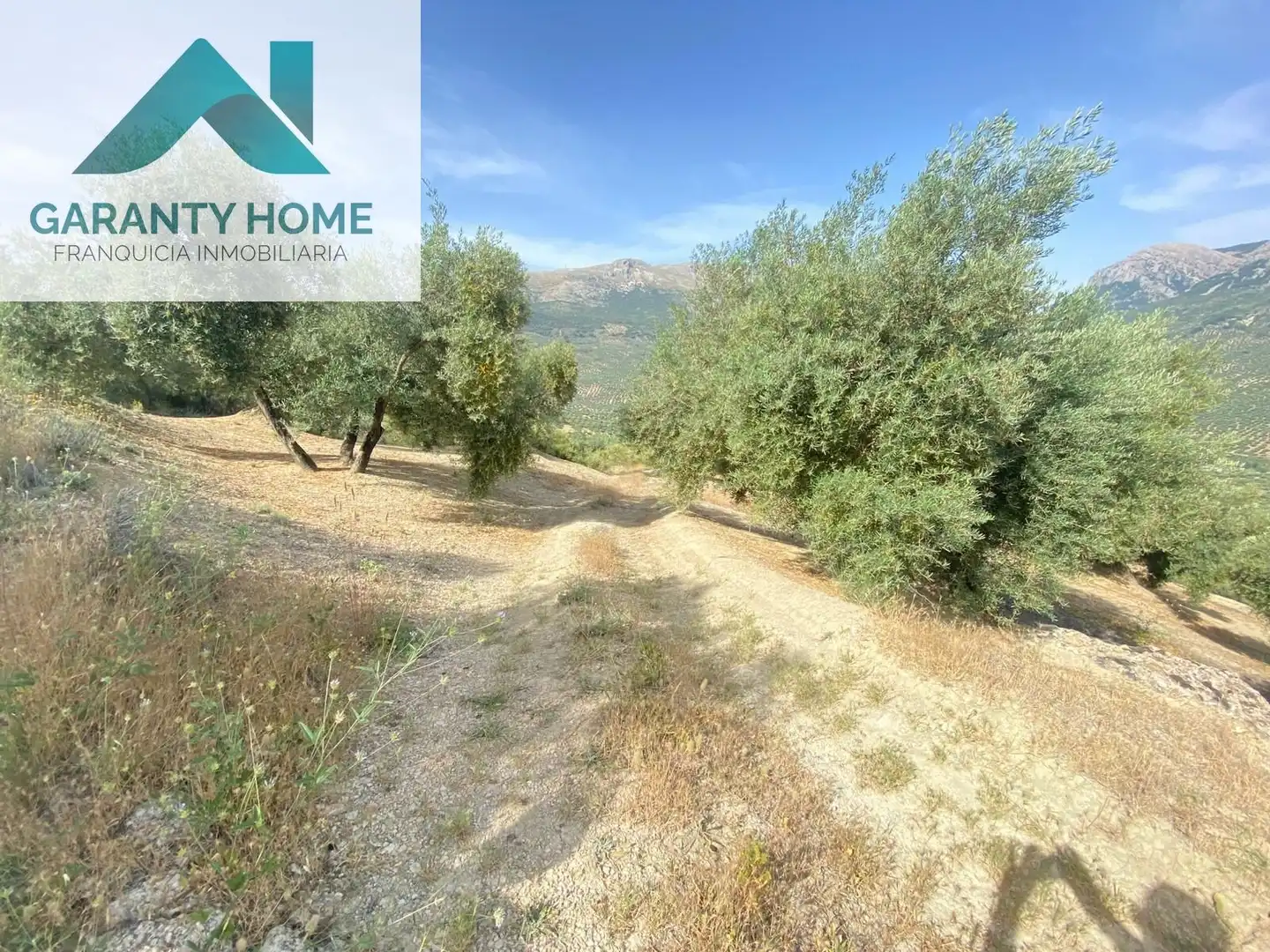 Terreno en venta en Valdepeñas de Jaén