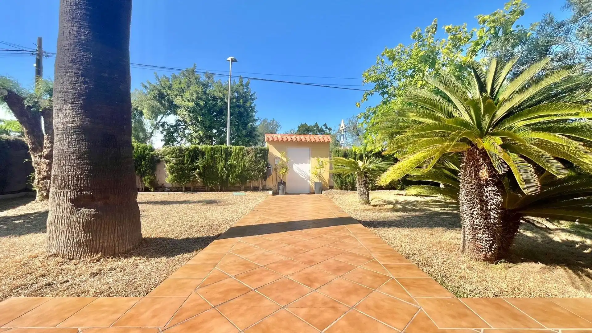 Vista exterior de Casa o xalet en venda en Torrevieja amb Calefacció, Jardí privat i Terrassa
