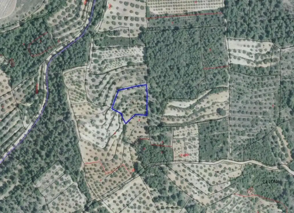 Terreno residenziale in vendita a Loma (La), imagen 4