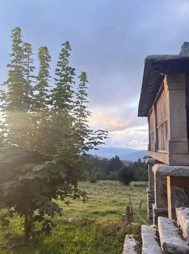 Vista exterior de Finca rústica en venda en Viveiro amb Jardí privat