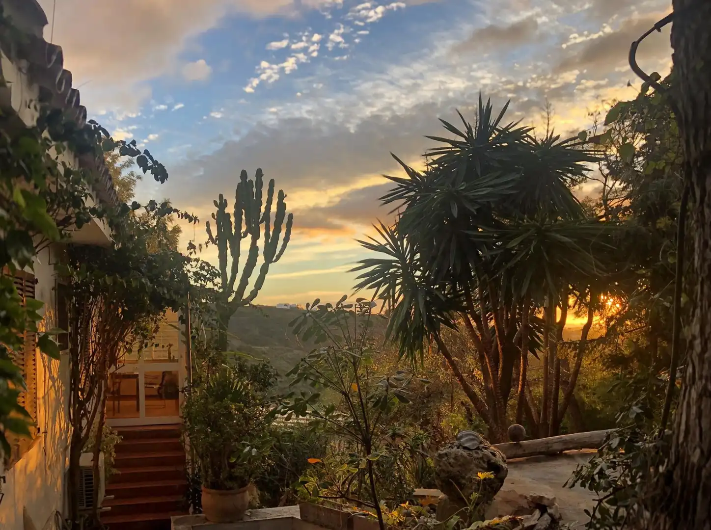 Jardín de Casa o chalet en venta en Benahavís con Aire acondicionado, Jardín privado y Terraza