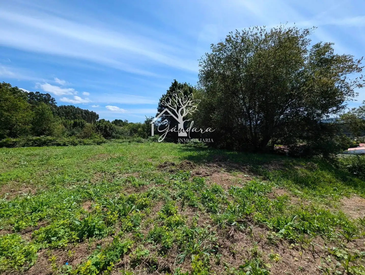 Terrenos y solares en venta en Sedes - Pedroso - Doso, imagen 7