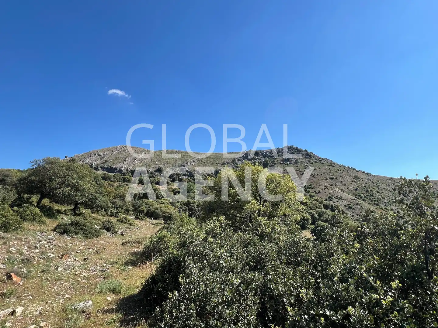Terreny en venda en Jaén