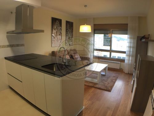 Attic to rent in Plaza Veiga da Eira, Zona Fernández Ladreda