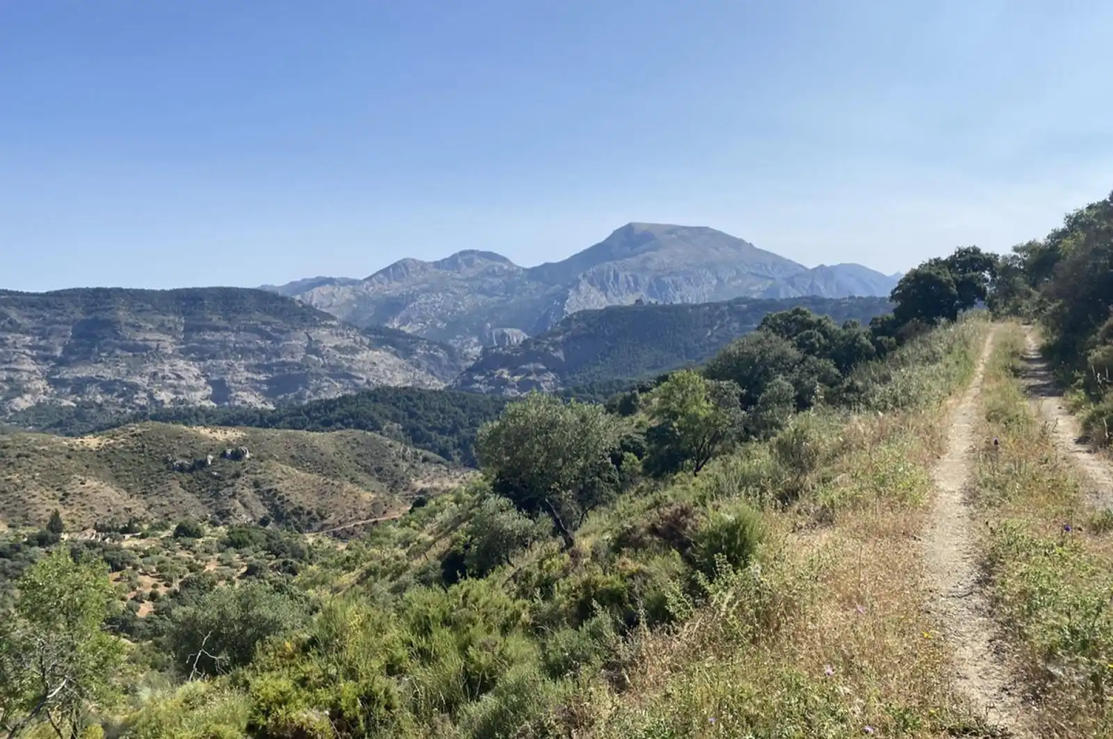 Terreni e lotti in vendita a huerto franco, imagen 4