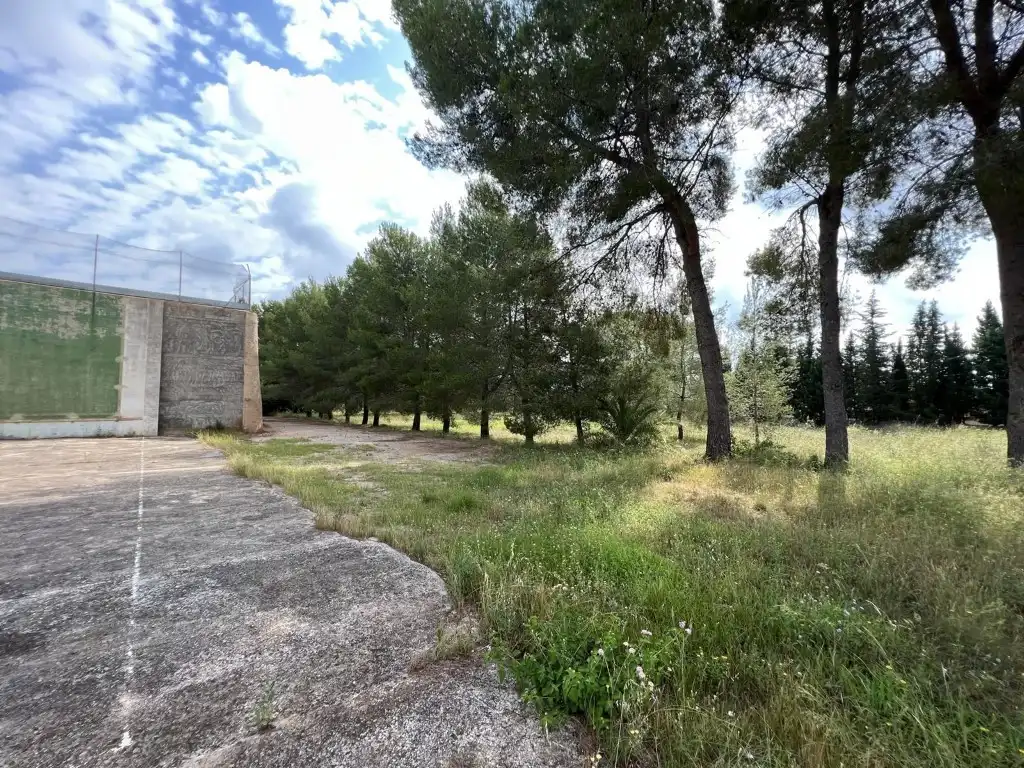 Terreny residencial en venda a Alberic, imagen 39