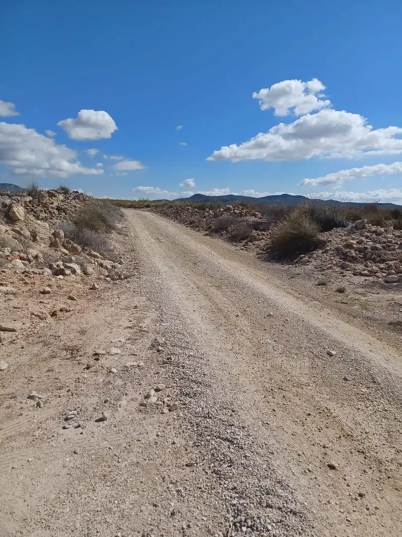 Terreny residencial en venda a El Pinós / Pinoso, imagen 7