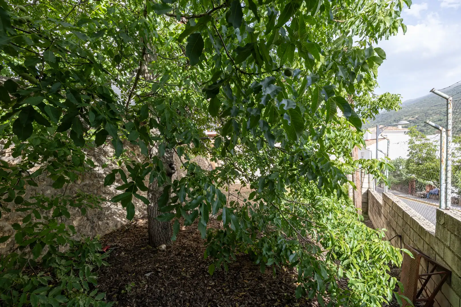 Jardí de Casa o xalet en venda en Güéjar Sierra amb Jardí privat i Moblat