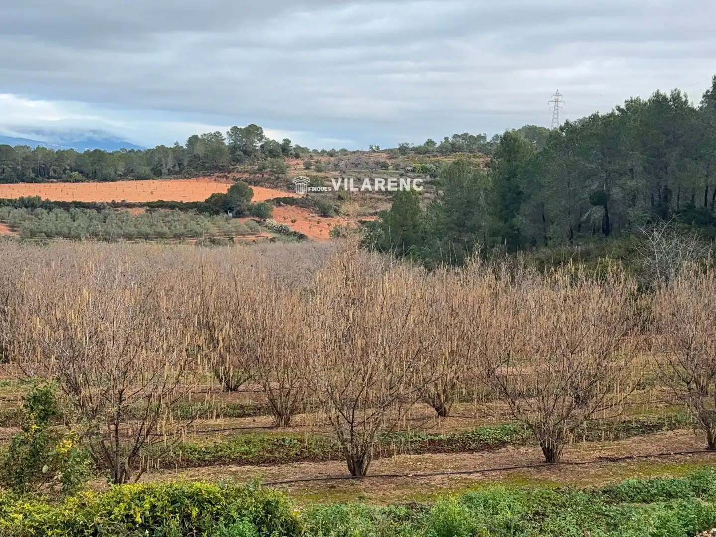 Terrain rustique à vendre à Vallmoll, imagen 5