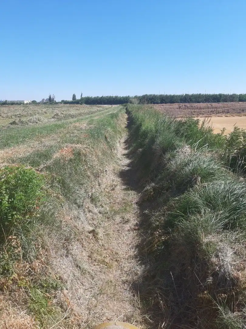 Grundstücke zum Verkauf in Zaragoza