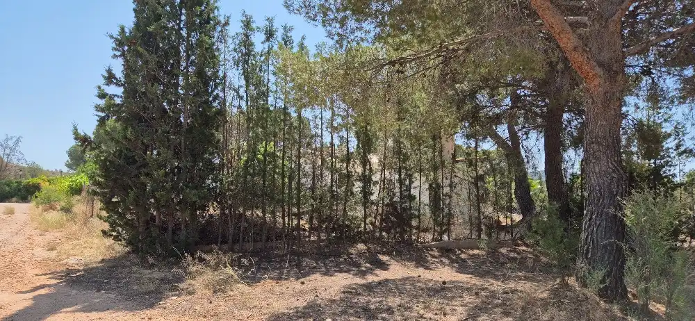 Terreno en venta en Hellín