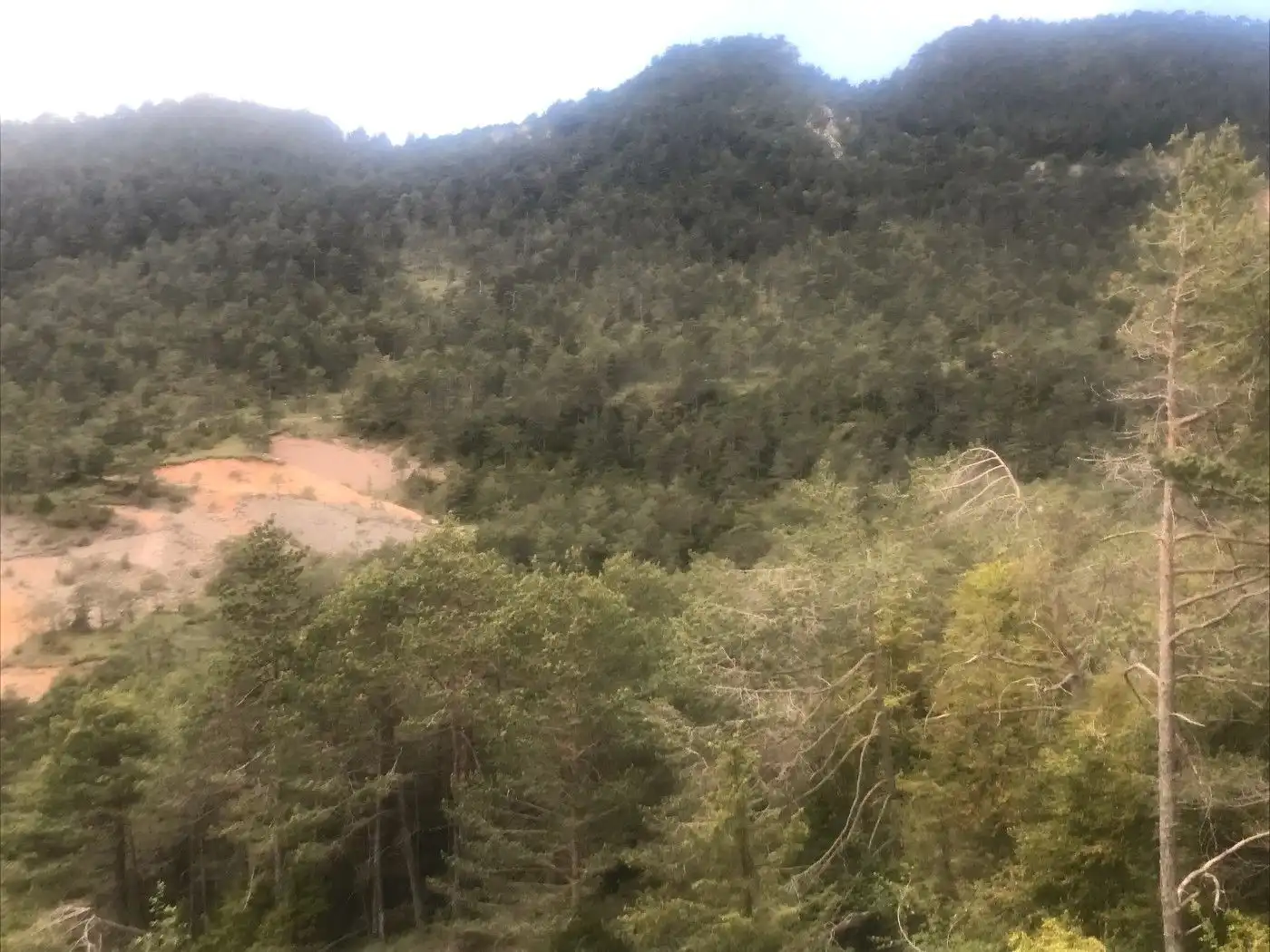 Wohnbaugrundstück zum Verkauf in Berga, imagen 13
