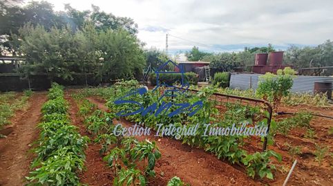 Foto 4 de Finca rústica en venta en Bobadilla - Bobadilla Estación - La Joya, Antequera