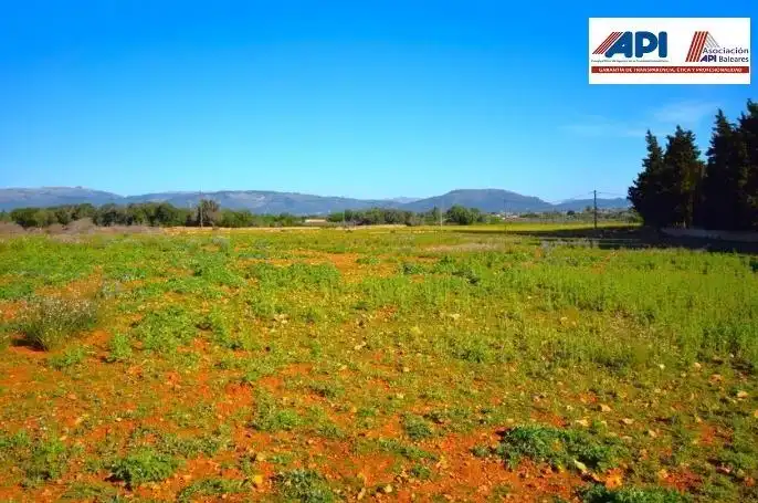 Finca rústica en venta en Muro