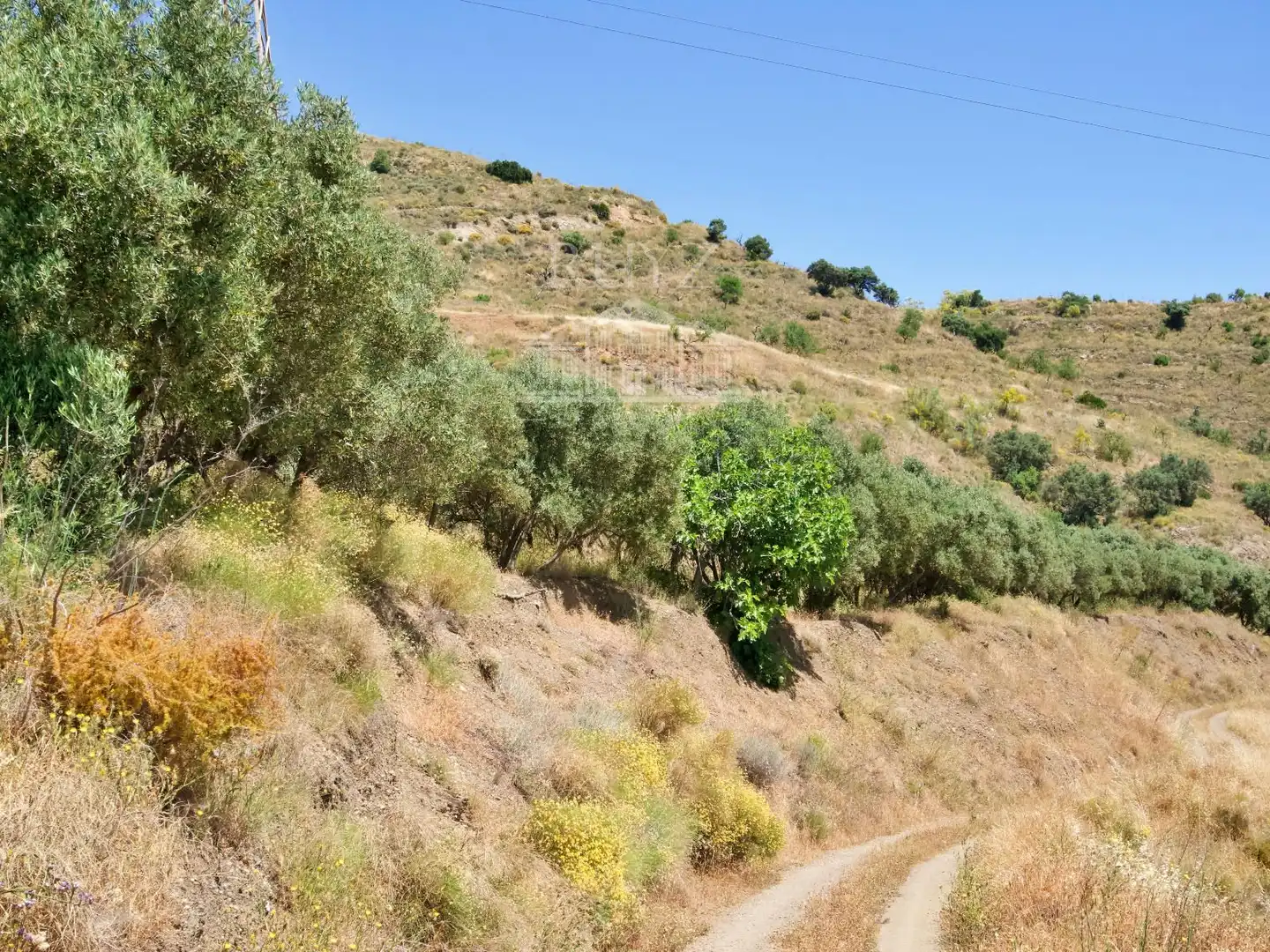 Terreny rústic en venda a Paraje El Poyetón, imagen 10