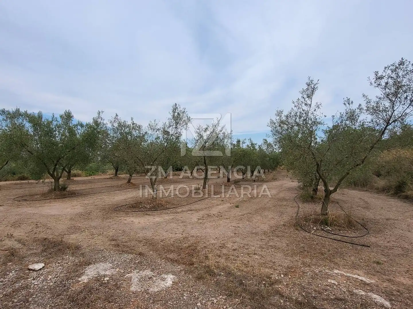 Terreno rústico en venta en Pueblo, imagen 10