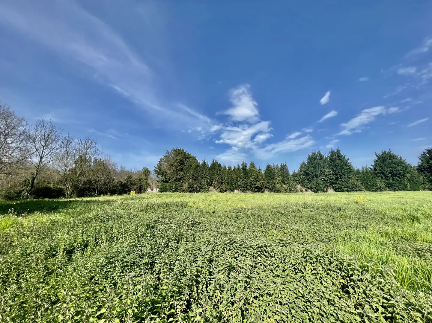 Land for sale in Entrambasaguas