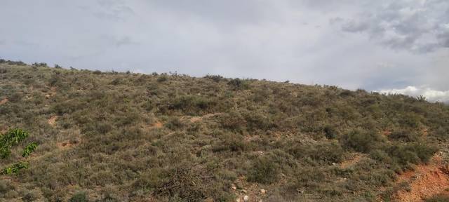 Terreno en Venta en De Ribota en Marivella - Huérmeda - Embid de la Ribera