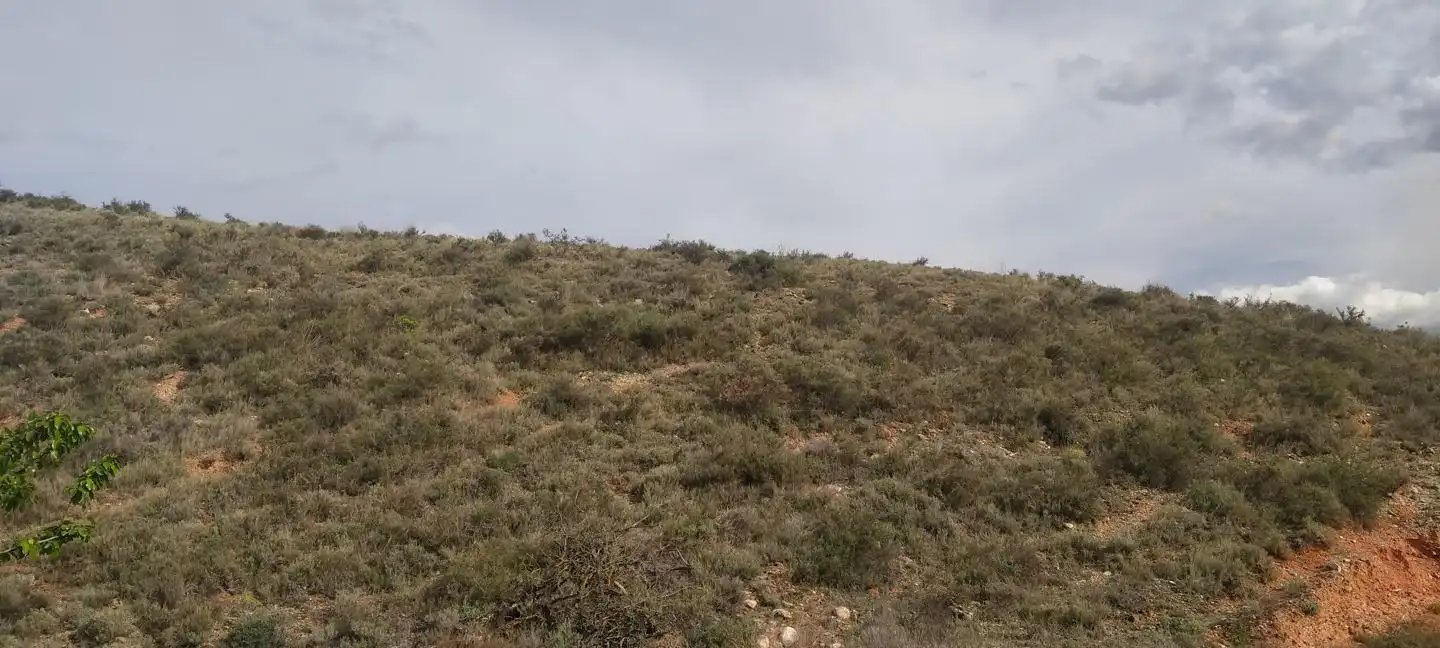 Terrenys i solars en venda a De Ribota