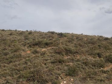 Terreno rustico in vendita a De Ribota