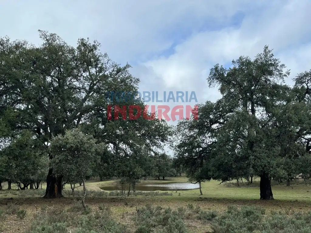Finca rústica en venta en Calle Corchito, Majadas