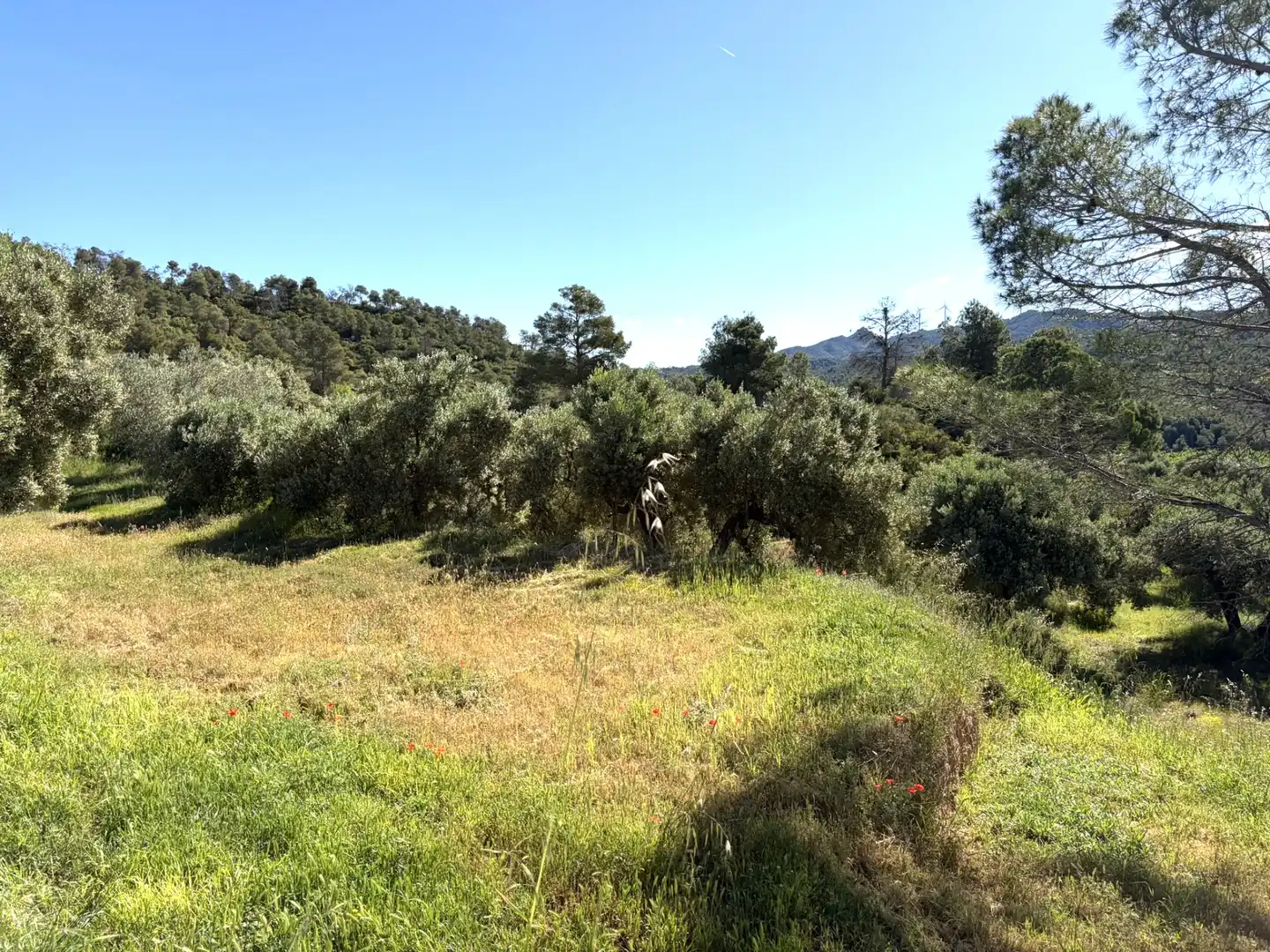 Finca rústica en venda en Ascó amb Aire condicionat, Calefacció i Piscina