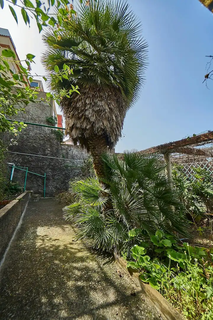 Jardí de Casa o xalet en venda en Santa Brígida amb Jardí privat, Terrassa i Balcó