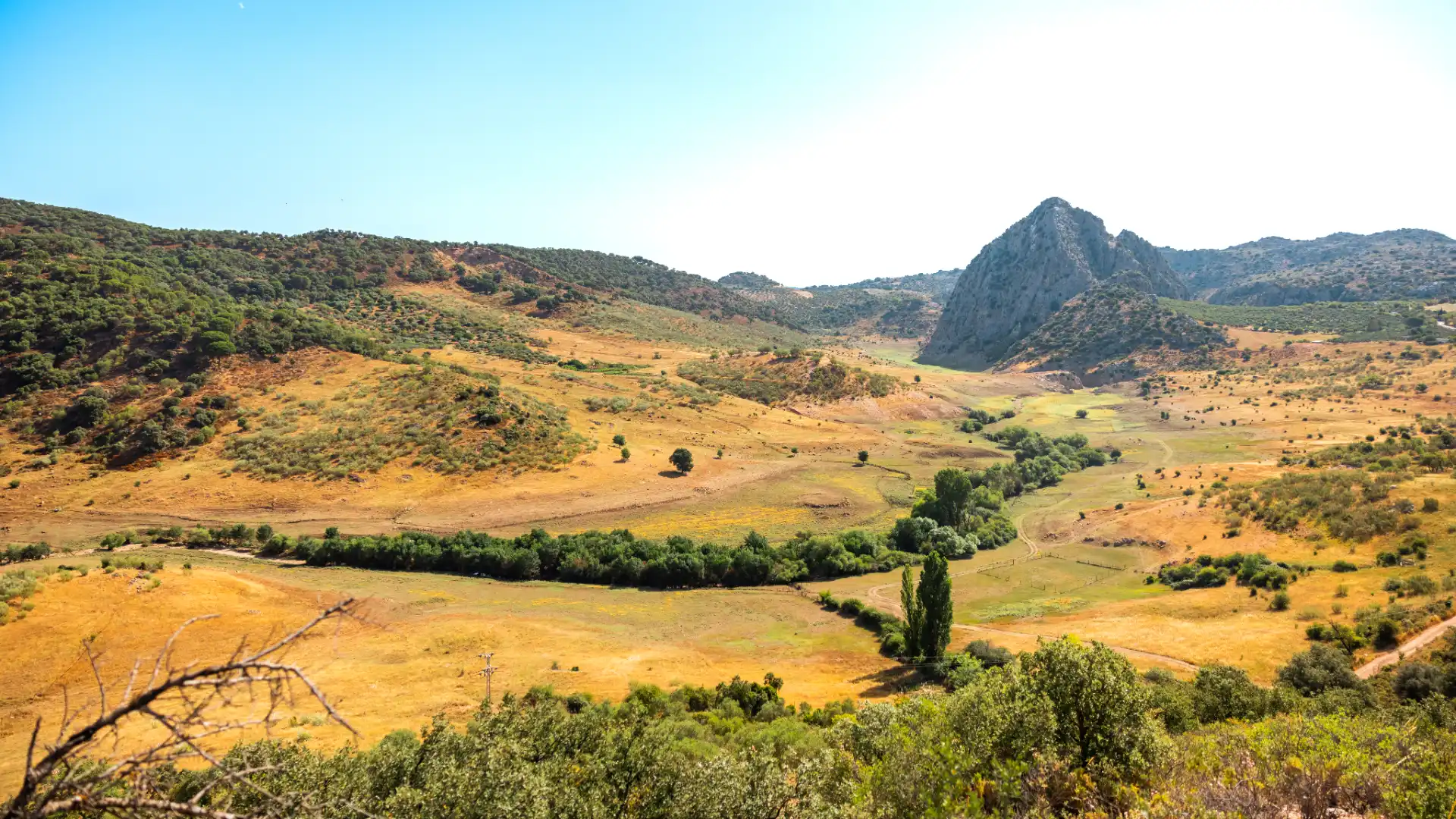 Jardín de Finca rústica en venta en Montejaque con Aire acondicionado, Jardín privado y Terraza