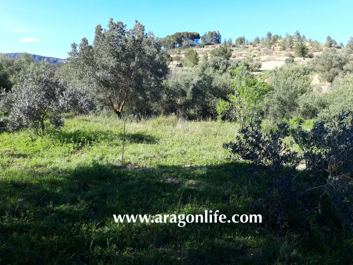 Rural land for sale in C-43, imagen 9