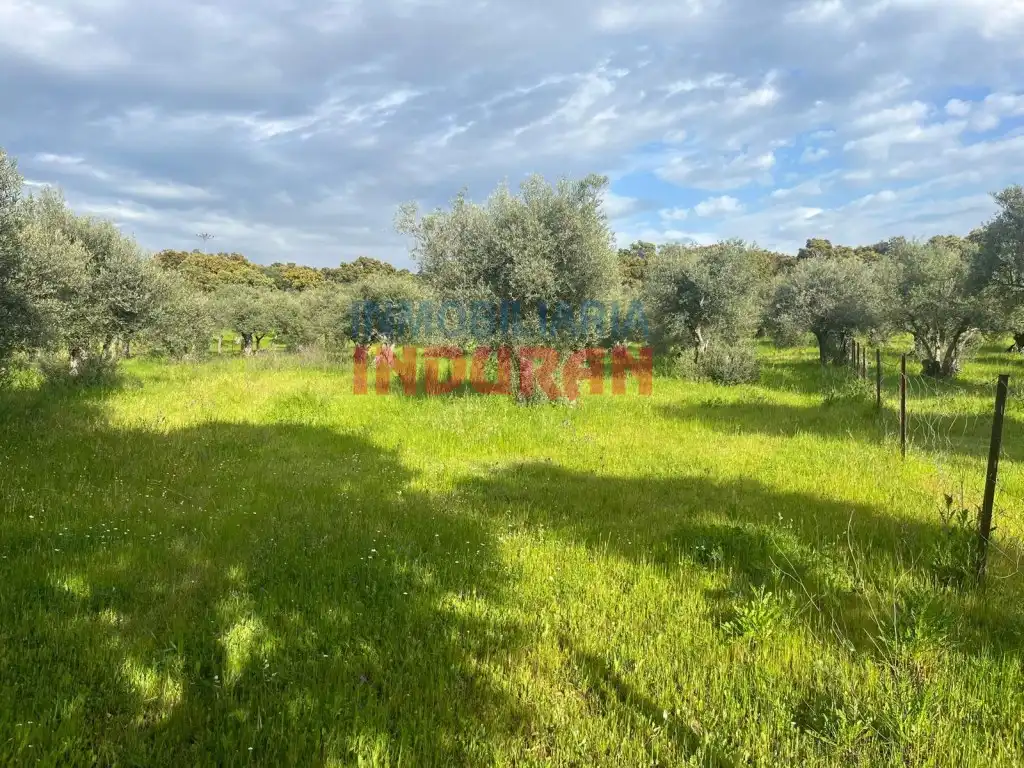Finca rústica en venta en Millanes