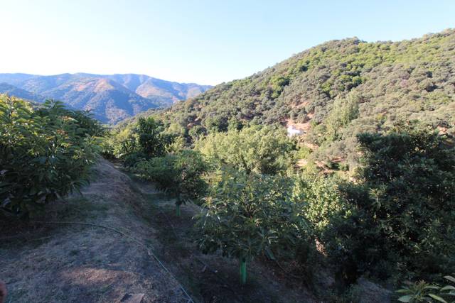 Terreno en Venta en Pasaje Corralon el, 26 en Júzcar