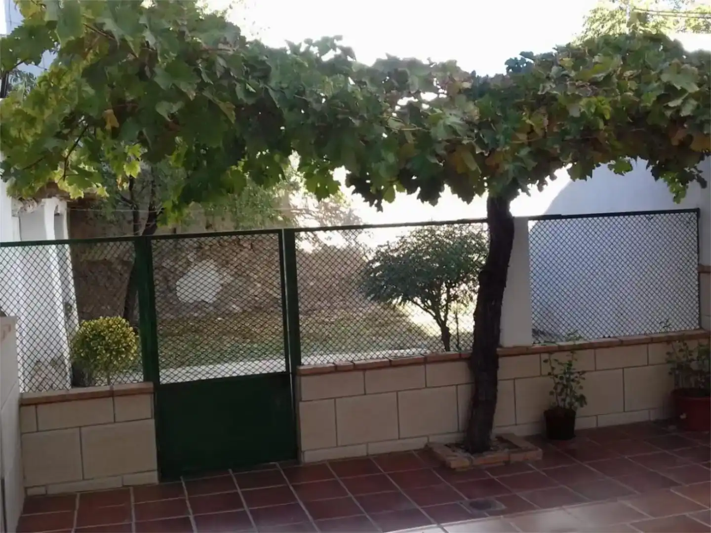 Terrassa de Pis en venda en Huéscar amb Moblat i Balcó