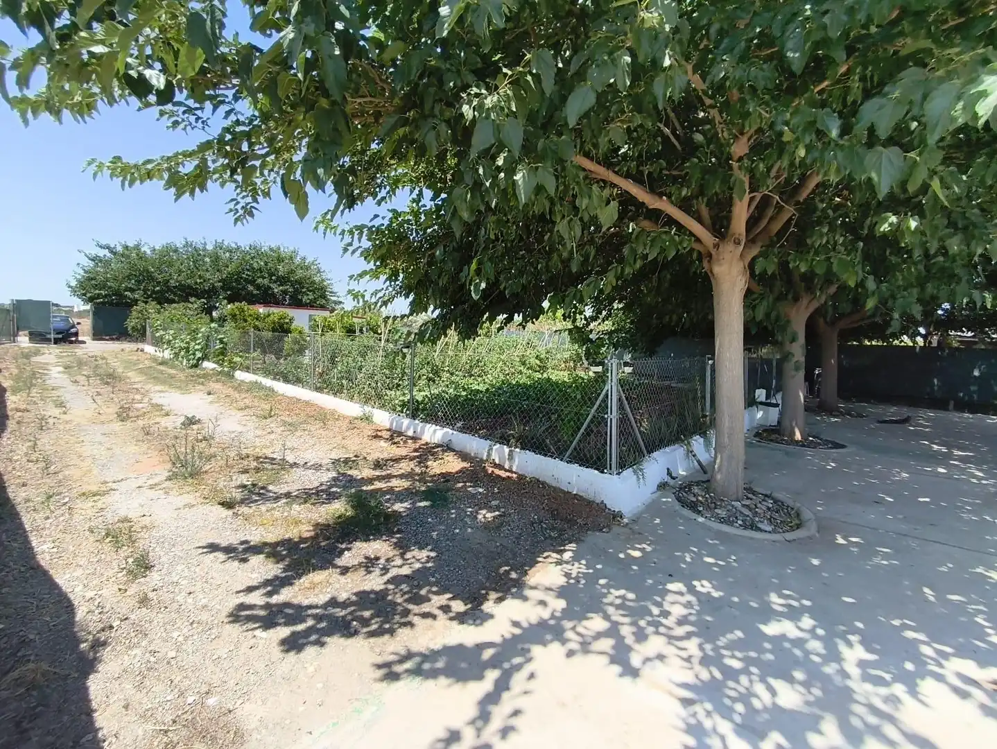 Jardín de Finca rústica en venta en Foios con Aire acondicionado, Calefacción y Jardín privado