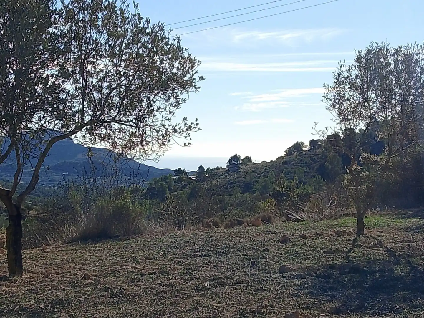 Terreno rustico in vendita a Carrer la Creu, imagen 30