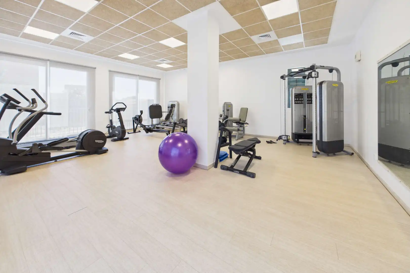 Planta baixa en venda en Campos amb Aire condicionat, Terrassa i Moblat