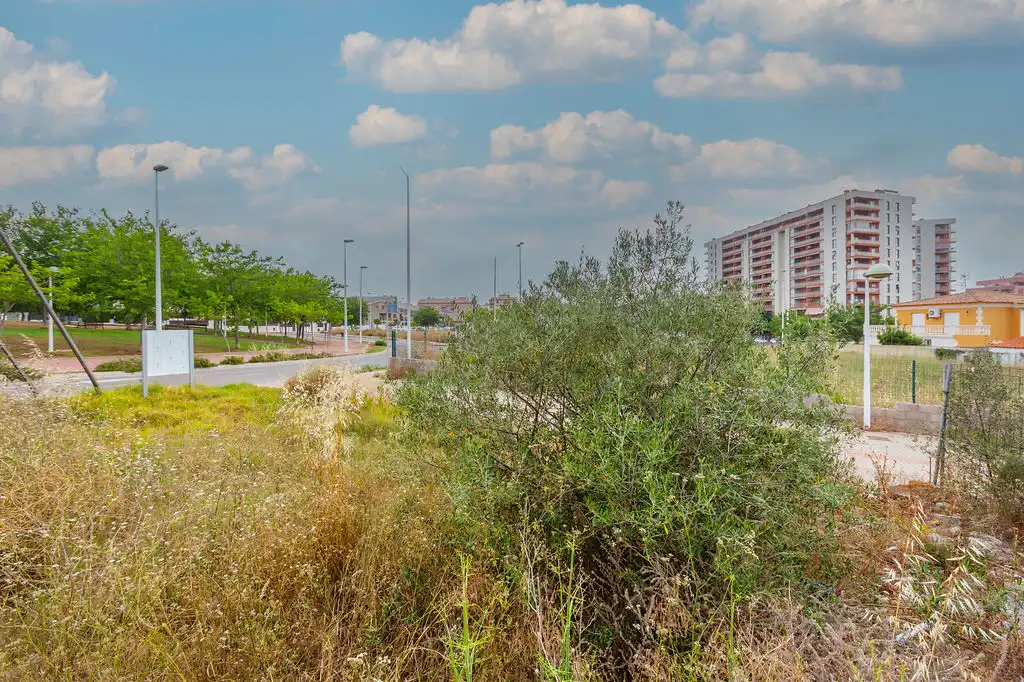 Terrain rustique à vendre à Av Jaume I, imagen 21