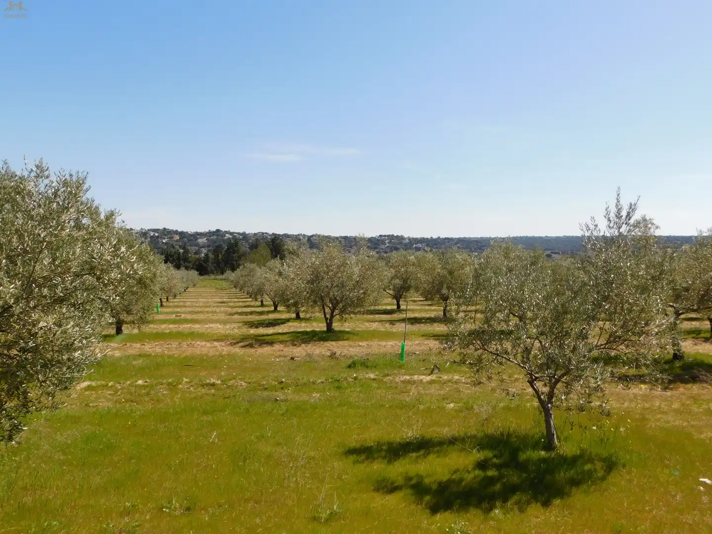 Terreno en venta en Villa del Prado